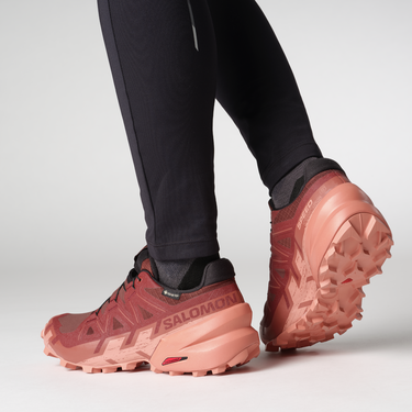 Tenisky a topánky Salomon SPEEDCROSS 6 GTX W Vínová | l47584300, 2