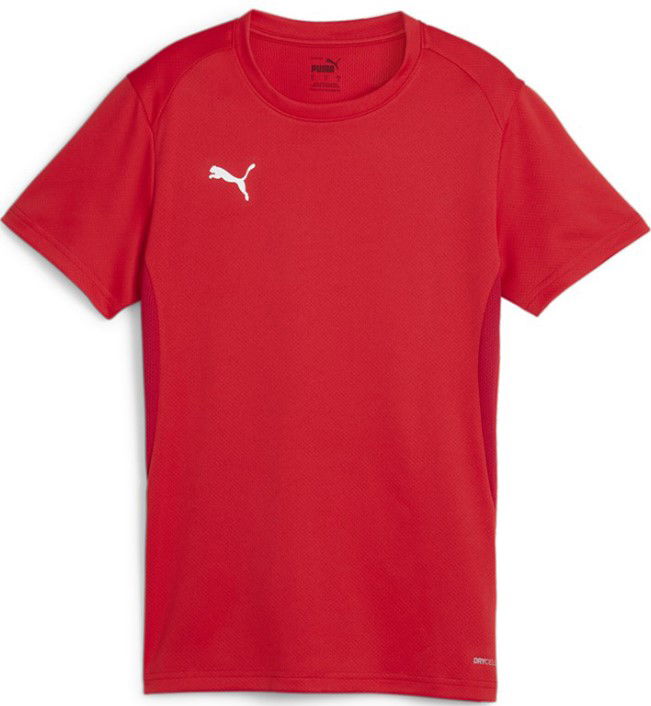 Dres Puma teamGOAL Jersey W Červená | 658638-01, 0