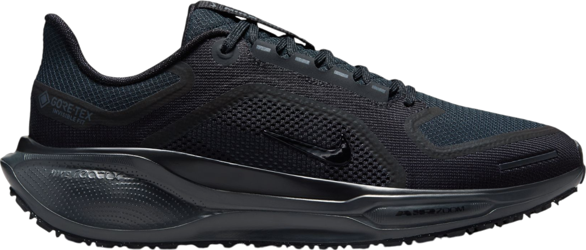 Tenisky a topánky Nike Pegasus 41 GORE-TEX Čierna | fq1357-001, 0