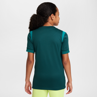 Dres Nike Nigeria Stadium 2025 Dri-FIT Replica Jersey Zelené | HM9662-483, 2