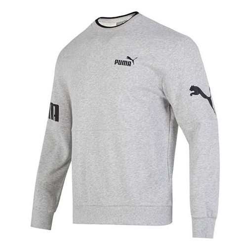 Sveter Puma Power Crewneck Sweatshirt Šedá | 676666-04, 0
