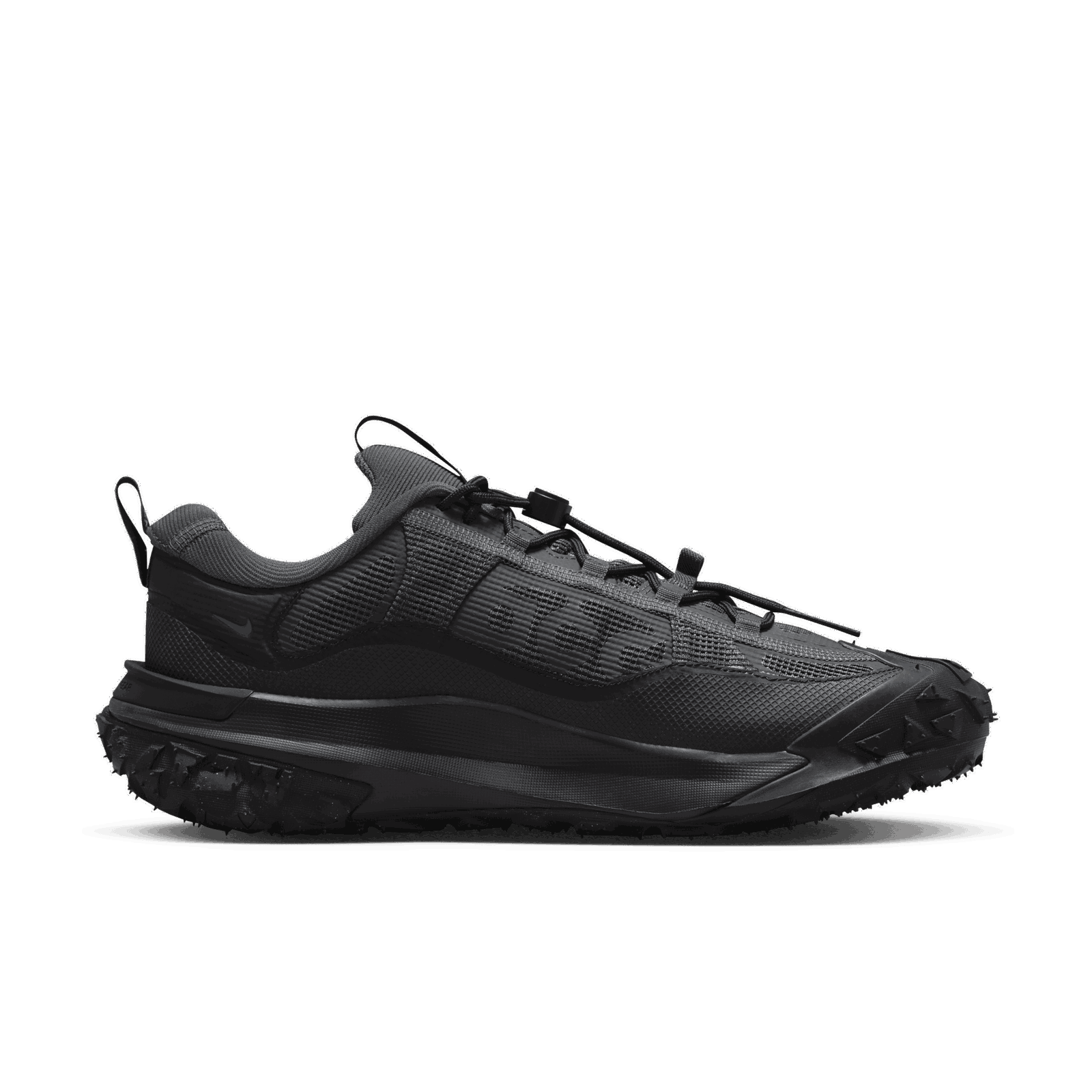 Mountain Fly 2 Low GORE-TEX