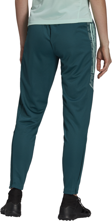 Tepláky adidas Originals DFB Training Pants Zelené | gk8638, 1