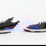 Dunk Low Retro SE Viotech