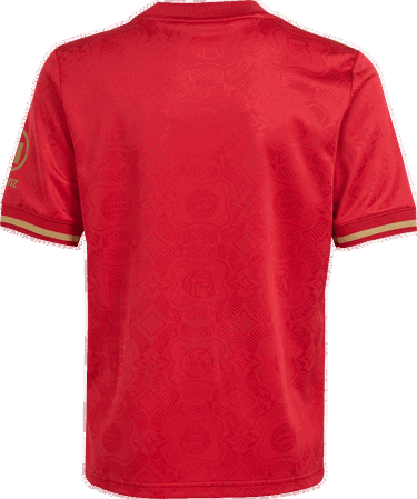 Dres adidas Performance FC Bayern Anniversary Kids' T-Shirt Červená | JE6782, 1