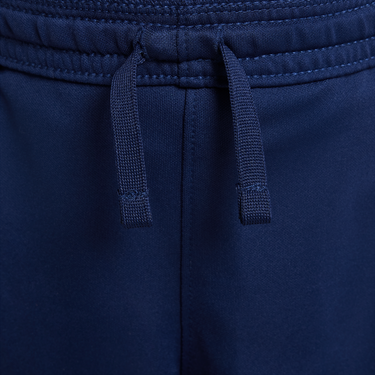 Šortky Nike Dri-FIT Academy Shorts Modrá | HJ3718-410, 3