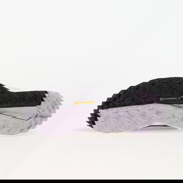 Tenisky a topánky adidas Performance Terrex Free Hiker 2 Low Gtx W Prlofi/ Silver Dawn/ Aurbla Fialová | IH3540, 1