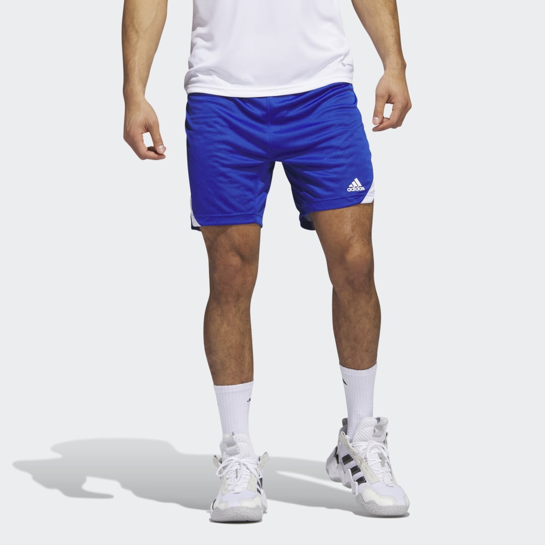Šortky adidas Originals Icon Squad Shorts Modrá | HF6731, 0
