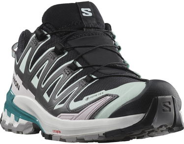 Tenisky a topánky Salomon Xa Pro 3D V9 Gtx W Rôznofarebný | L47119100, 7