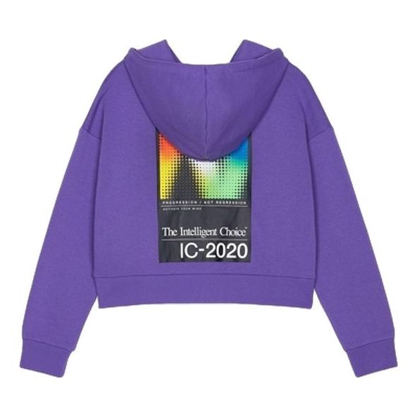 Mikina New Balance Hooded Casual Jacket Fialová | WJ03512MVT