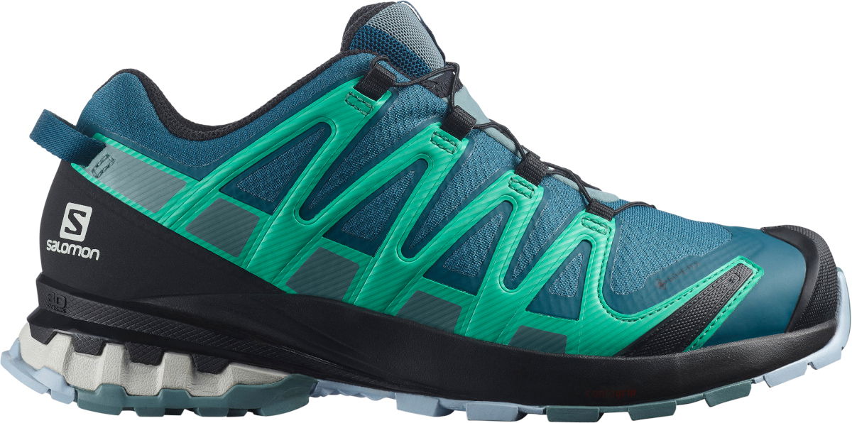 Tenisky a topánky Salomon XA PRO 3D v8 GTX Zelené | l41629600, 1