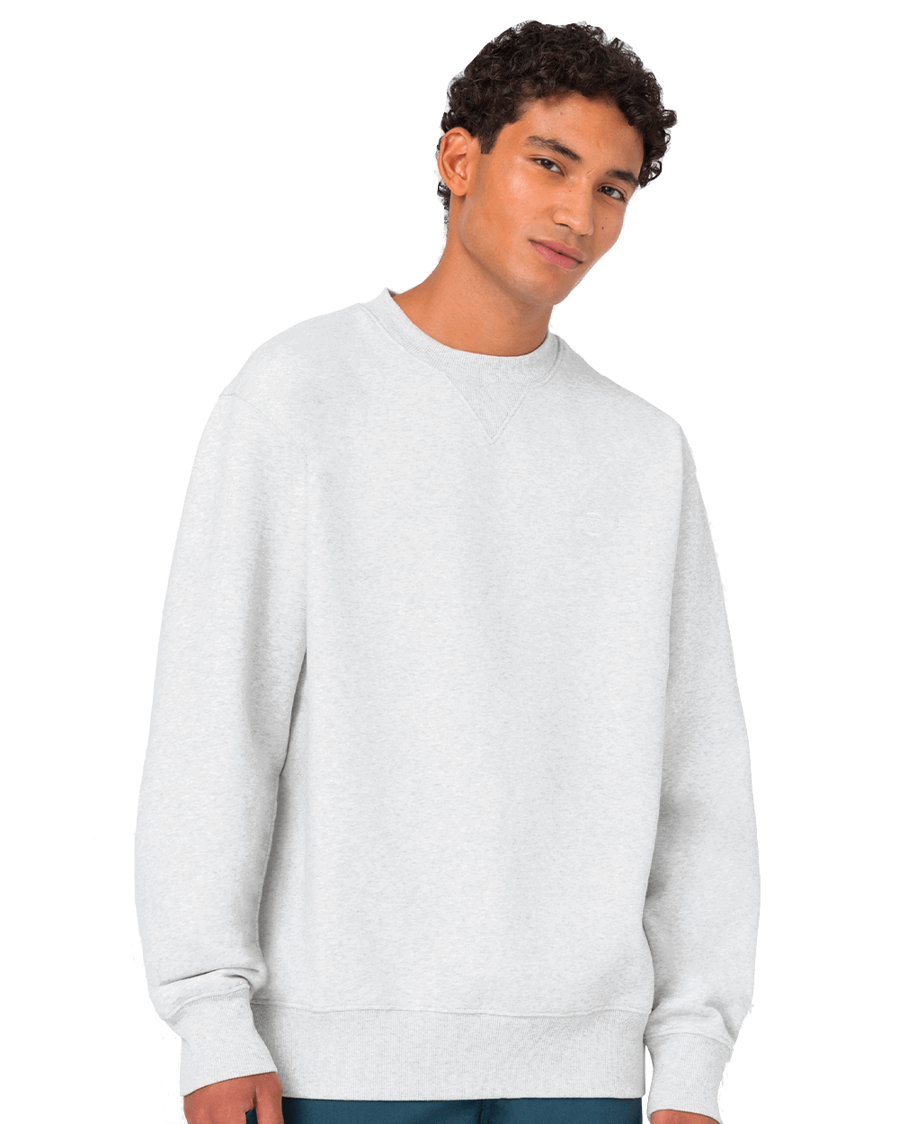Mikina Dickies Summerdale Sweatshirt Šedá | DK0A4Y6QA281, 0