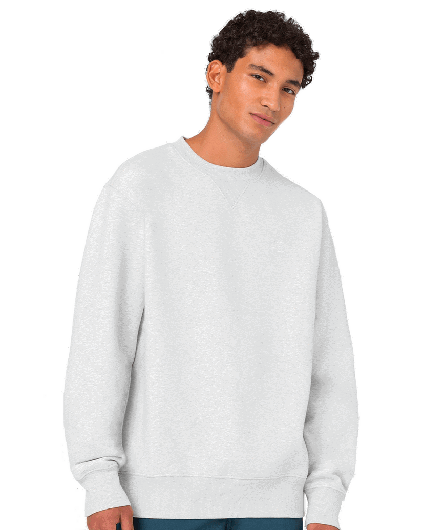 Mikina Dickies Summerdale Sweatshirt Šedá | DK0A4Y6QA281