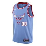 Chicago Bulls City Edition Jersey