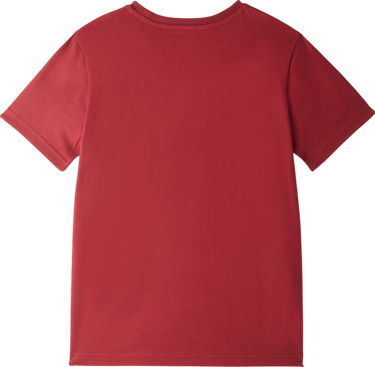 Tričko Puma Galatasaray Istanbul Logo T-Shirt Vínová | e251047-100, 1