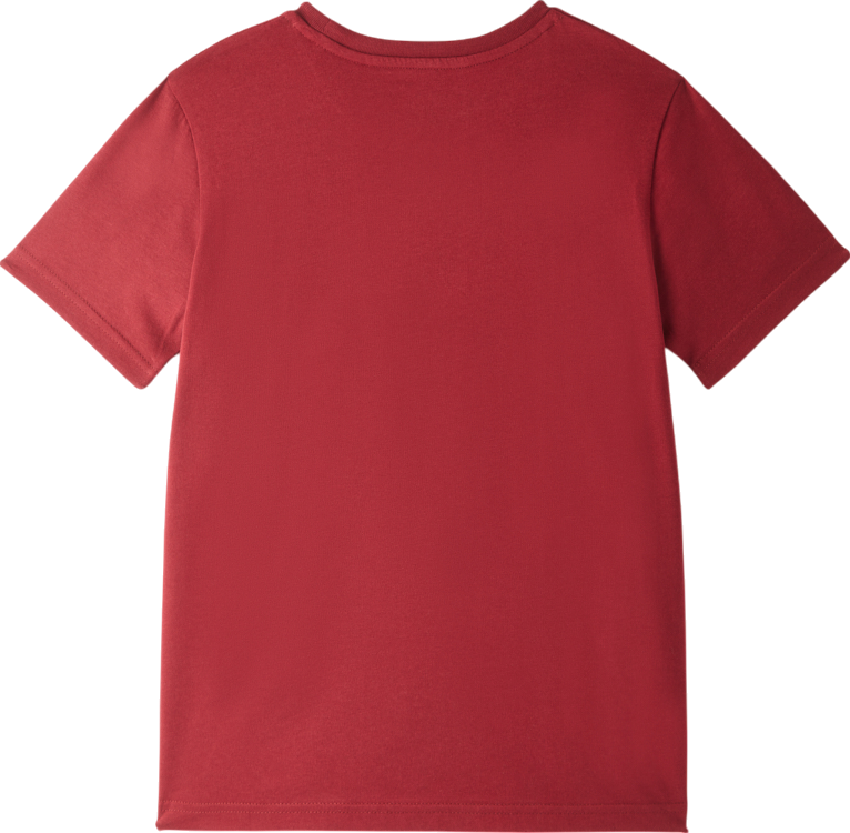 Tričko Puma Galatasaray Istanbul Logo T-Shirt Vínová | e251047-100, 1