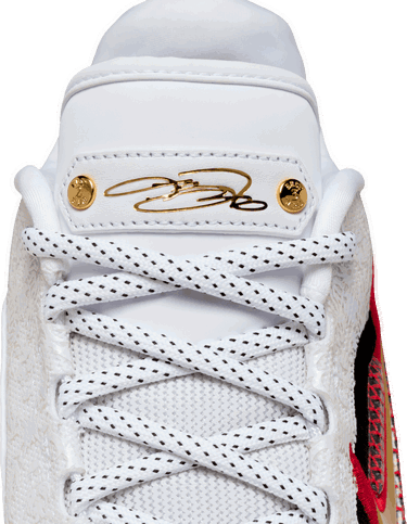 Tenisky a topánky Nike LeBron XXIII Rôznofarebný | hj5629-100, 6