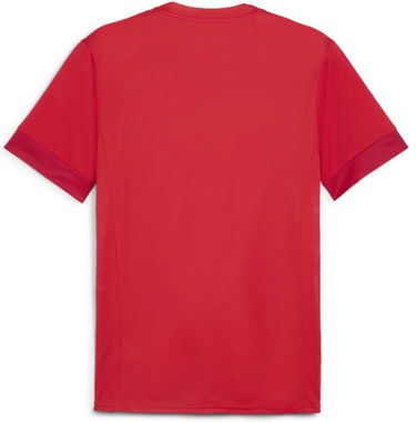 Dres Puma teamGOAL Matchday Jersey Červená | 705747-01, 1