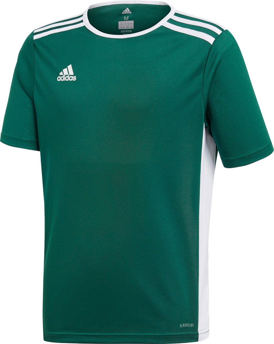 Dres adidas Originals Entrada 18 Jersey Zelené | ce9563, 0