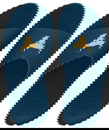 Tenisky a topánky Under Armour Project Rock Slides Modrá | 3025237-400, 4