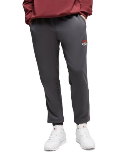 Tepláky Reebok Cl Ae Pant Šedá | 100035356