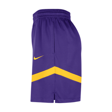 Šortky Nike Dri-FIT NBA Los Angeles Lakers Icon Fialová | DZ3722-504, 2