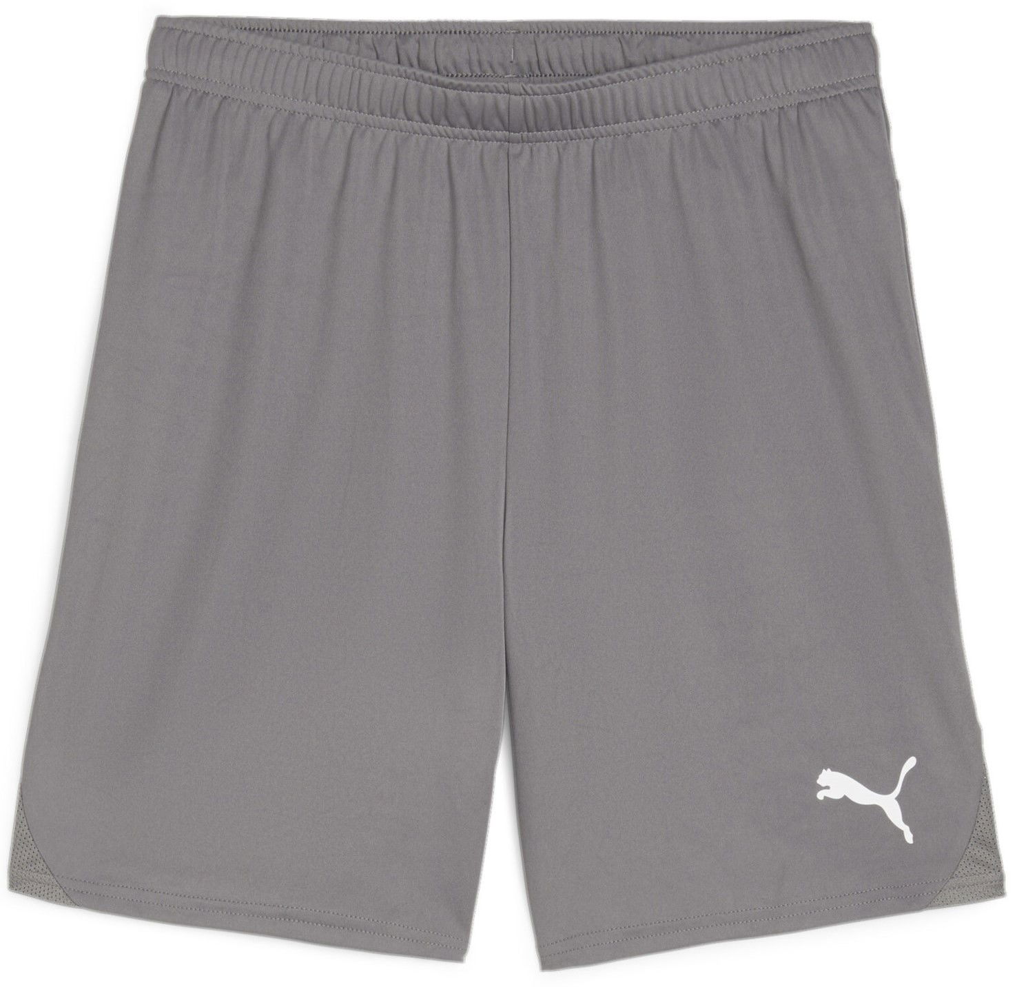 Šortky Puma teamGOAL Shorts Šedá | 705752-13, 0