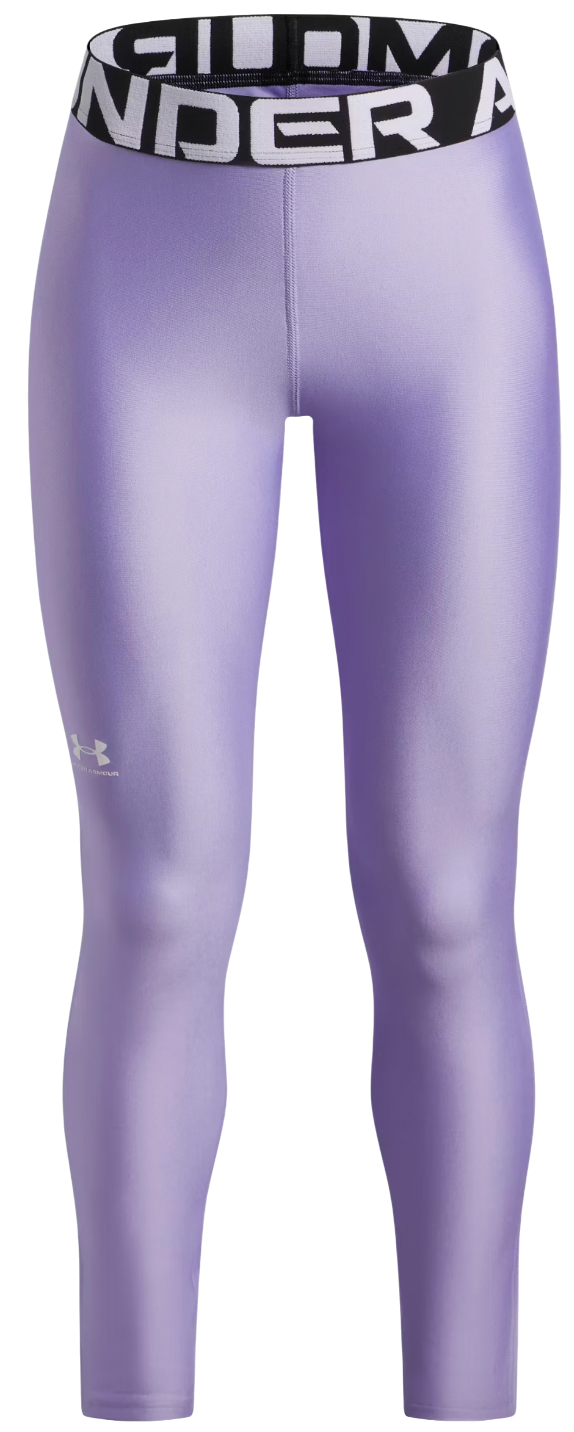 Legíny Under Armour HG Performance Legging Fialová | 1390069-538, 0