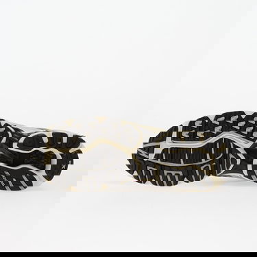 Tenisky a topánky Mizuno Wave Rider 10 Rôznofarebný | D1GA210417, 1