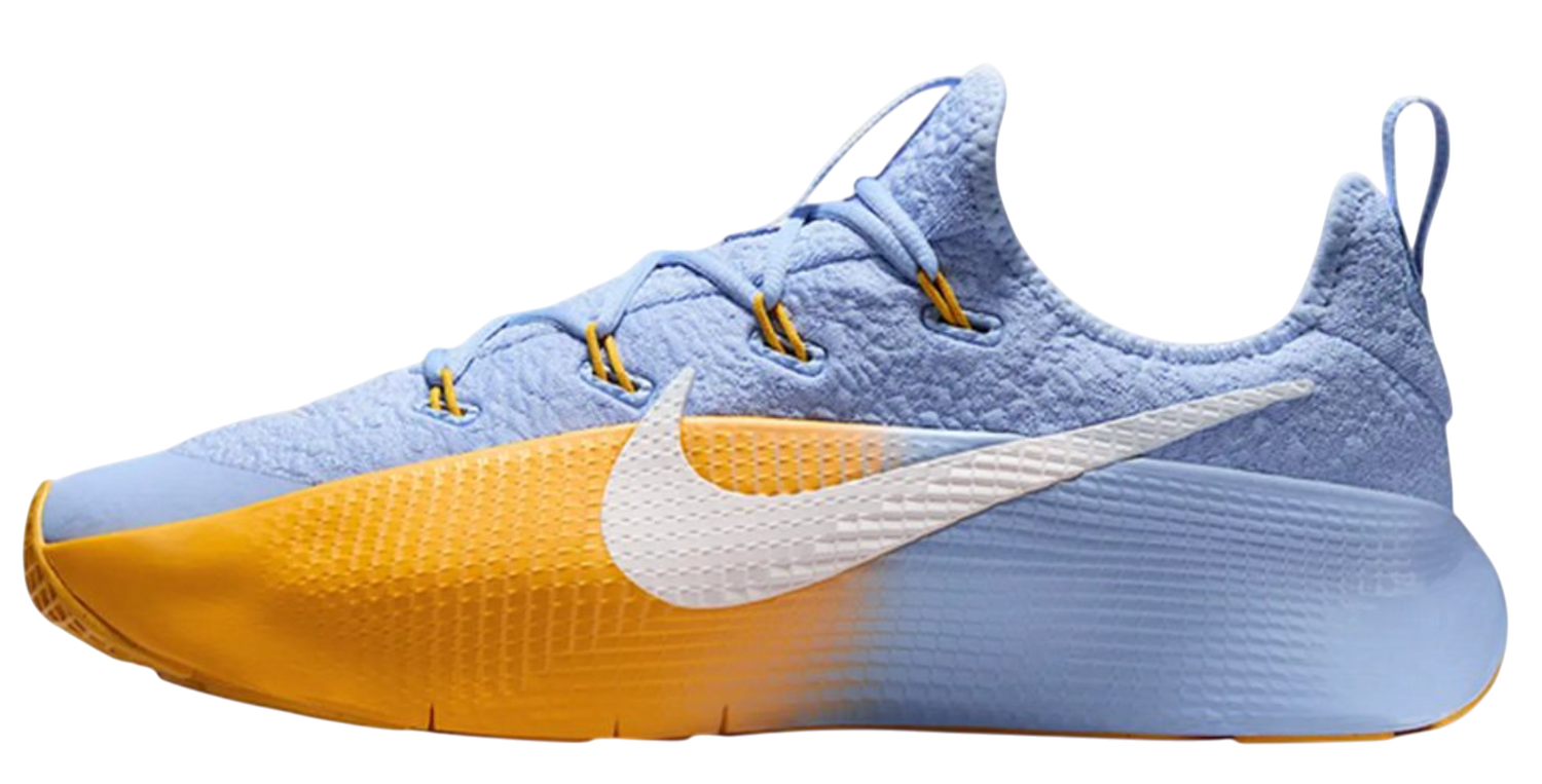 Tenisky a topánky Nike LeBron TR 1 'Aluminium University Gold' Rôznofarebný | FJ6151-401, 1