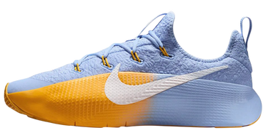 Tenisky a topánky Nike LeBron TR 1 'Aluminium University Gold' Rôznofarebný | FJ6151-401, 1