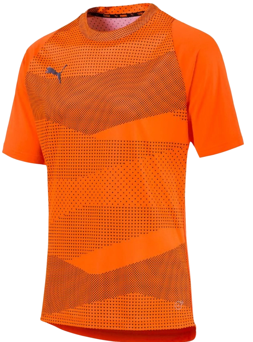 Dres Puma Puma Football Graphic Core T-Shirt Oranžová | 655781-002