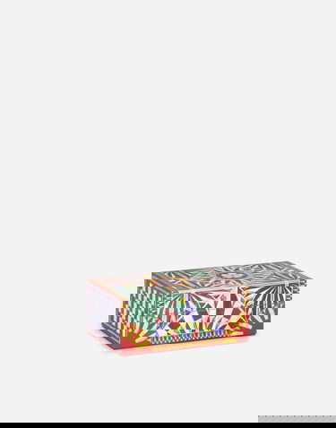 Doplnky Dolce & Gabbana Dolce & Gabbana Small Decorated Plexiglass Box Rôznofarebný | TCC202TCAMYUC029, 2