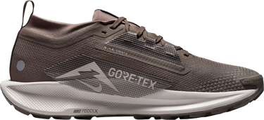 Tenisky a topánky Nike Pegasus Trail 5 GORE-TEX Hnedá | fq0908-012, 3