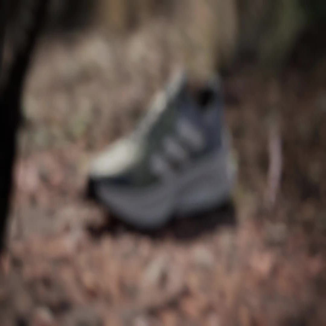 Tenisky a topánky adidas Performance TERREX Soulstride Flow Šedá | IG8923, 1