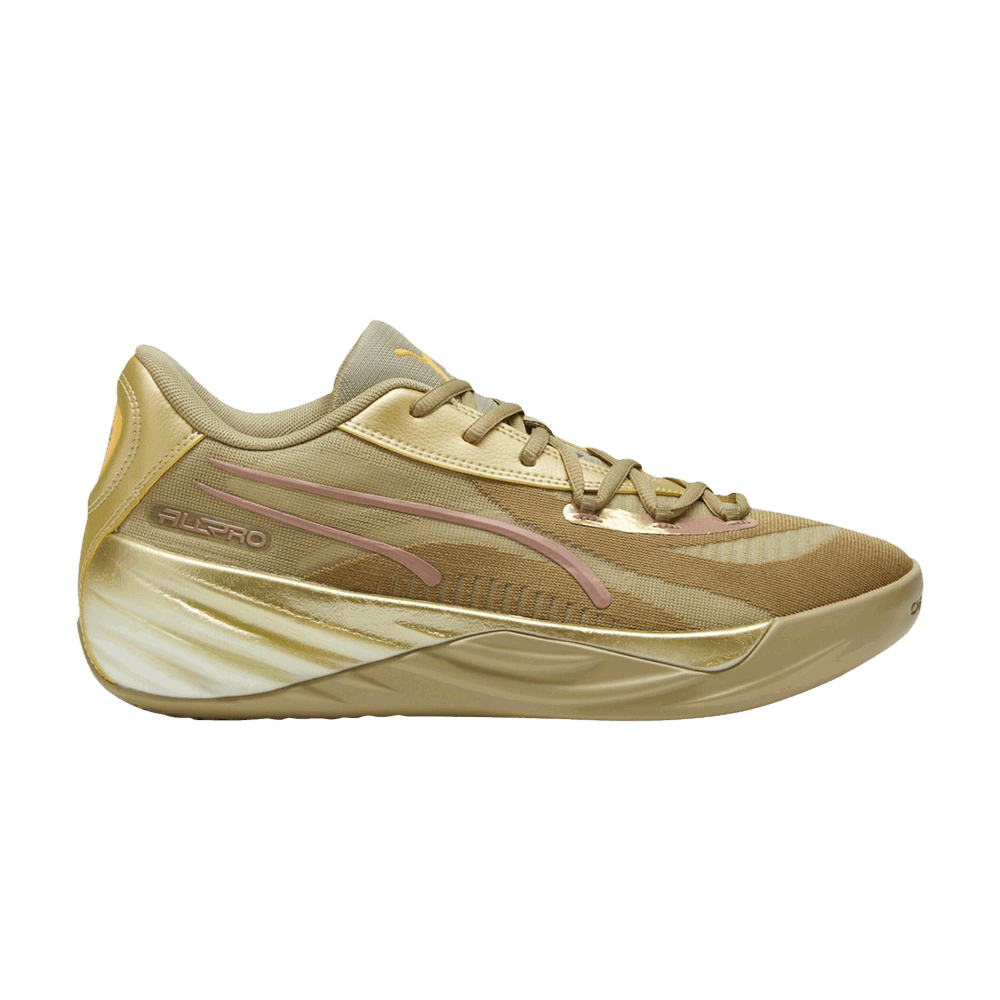 Tenisky a topánky Puma All-Pro Nitro Hnedá | 379967-01, 0