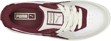 Tenisky a topánky Puma Cali Dream Ivy League Rôznofarebný | 387148-002, 3