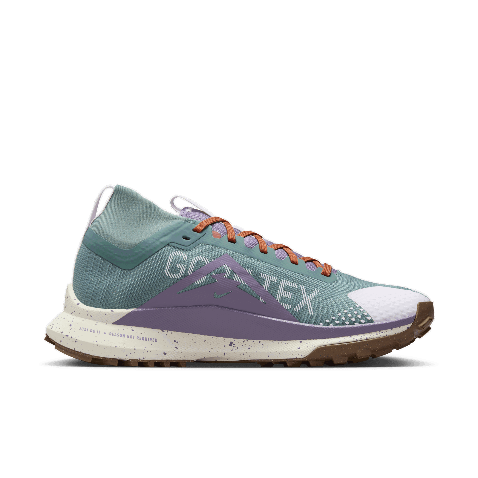 Pegasus Trail 4 GORE-TEX W