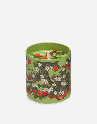 Sviečka Dolce & Gabbana Dolce & Gabbana Sicilian Orange Scented Candle Zelené | TCC159TCAG3U0044, 2