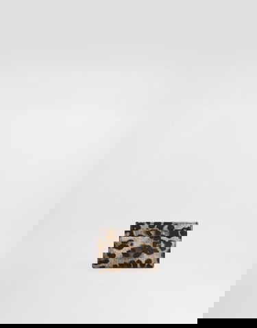 Peňaženka Dolce & Gabbana Dauphine Leopard Print Card Holder With Plate Rôznofarebný | BI0330AX566HY13M, 2