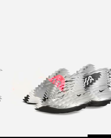 Tenisky a topánky Nike Total 90 III Metalická | IM7595-001, 2