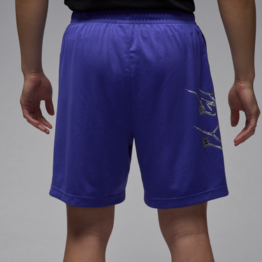 Šortky Jordan Jordan Sport Dri-FIT Graphic Shorts Fialová | HF9943-543, 2