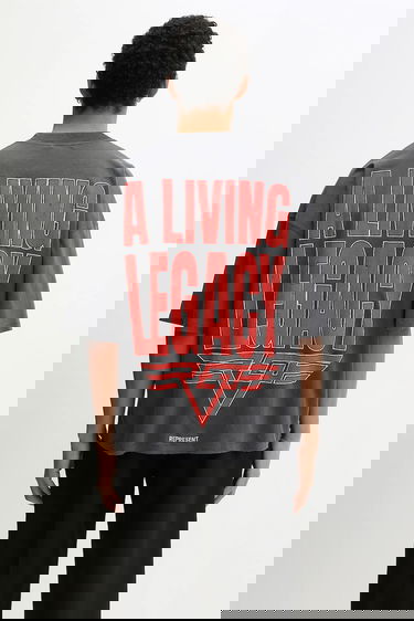 Tričko Represent Clo Reversible Living Legacy Falcon T-Shirt Šedá | MLM100679, 2