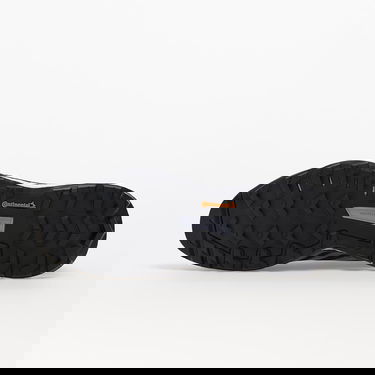 Tenisky a topánky adidas Performance Terrex Skychaser 2 Čierna | HR1293, 4