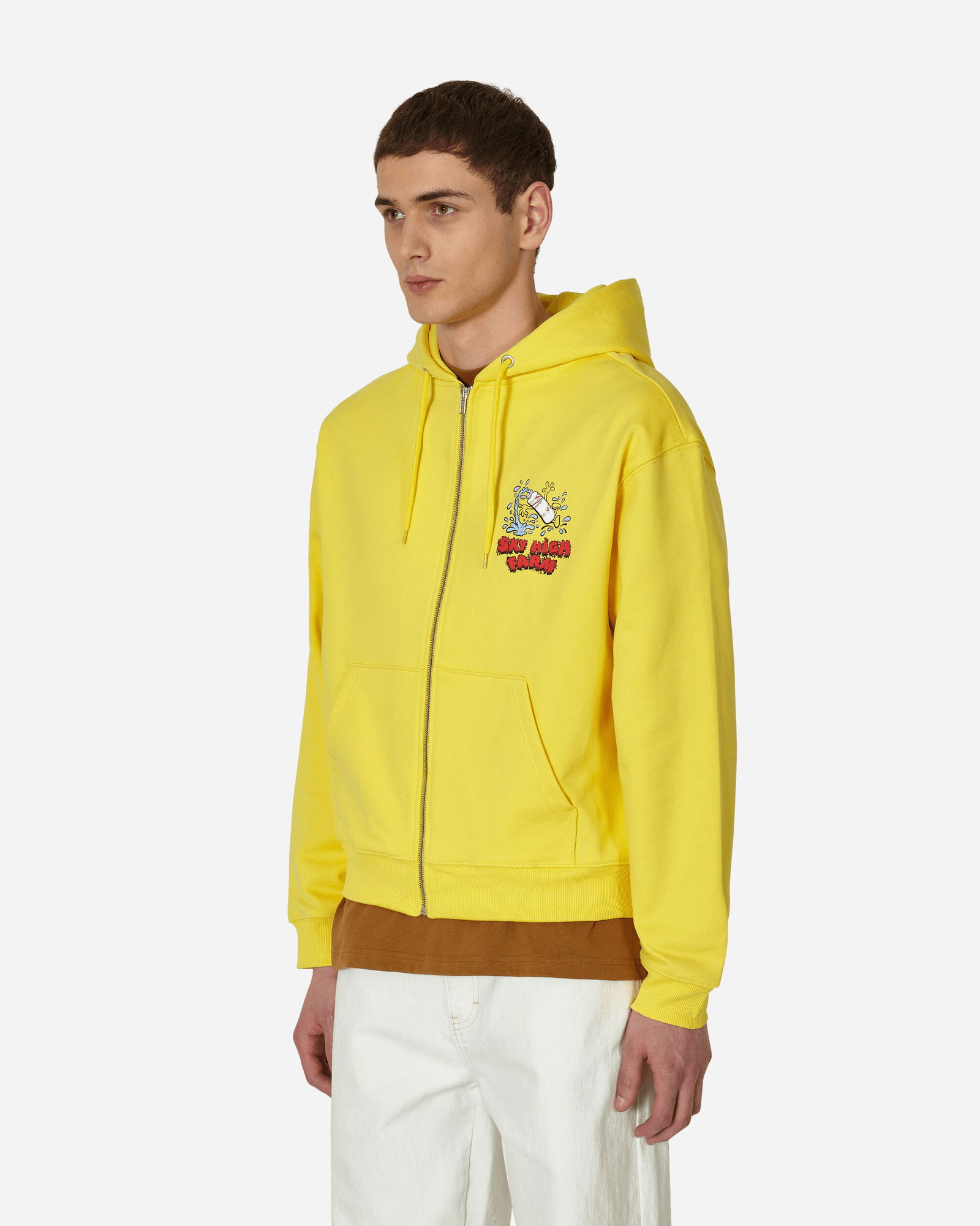 Flatbush Printed Zipped Hooded Sweatshirt