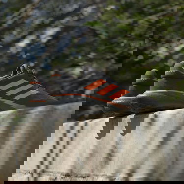 Tenisky a topánky adidas Performance Supernova 3 Čierna | IE4360, 2
