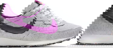 Tenisky a topánky Nike Challenger OG Šedá | dd1108-100, 2