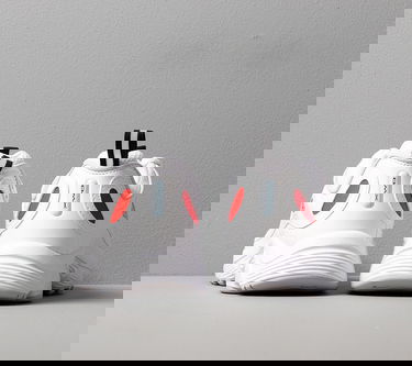 Tenisky a topánky Reebok Daytona DMX II Biela | EF3405, 3