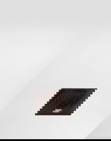 Peňaženka Dolce & Gabbana Dolce & Gabbana Eel Leather Bi-Fold Wallet Hnedá | BP1321A8A5381300, 0