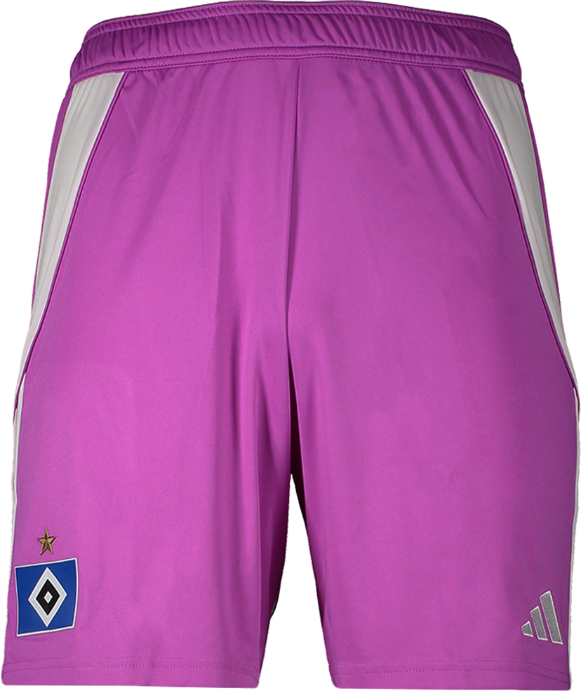 Šortky adidas Originals Hamburger SV Goalkeeper Shorts 2025/26 Fialová | 6hsvji6089